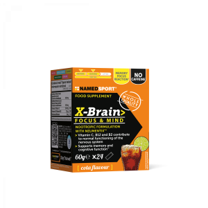 Named X-Brain 24 stick
