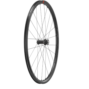 Set Couple wheels Fulcrum Speed 25