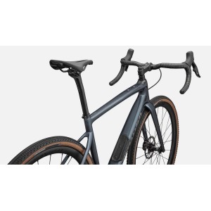 Specialized Diverge Carbon Expert Specialized