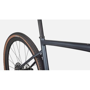 Specialized Diverge Expert Carbon Specialized