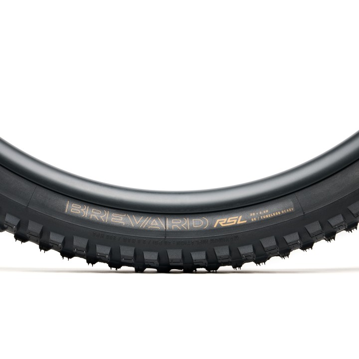 Pneumatico MTB Bontrager Brevard RSL SE TLR Bontrager