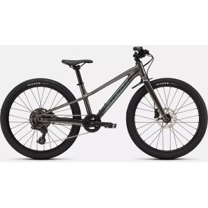 Bicicletta Specialized Riprock 24