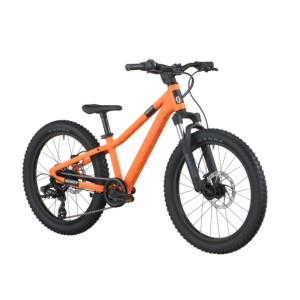 Bicicletta Scott Roxter 200 Scott