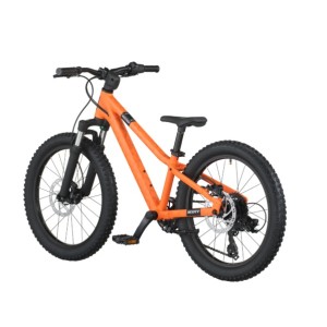 Bicicletta Scott Roxter 200 Scott