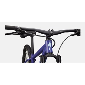 Bike Specialized Rockhopper Comp Specialized