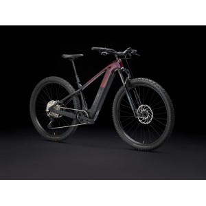 Trek Powerfly + 6 Jan 5 - Sunburst / Dark Star Trek