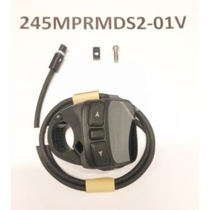 Display Giant RIDECONTROL DASH 2 FOR SG 2.0 SYSTEM L: 700mm Giant