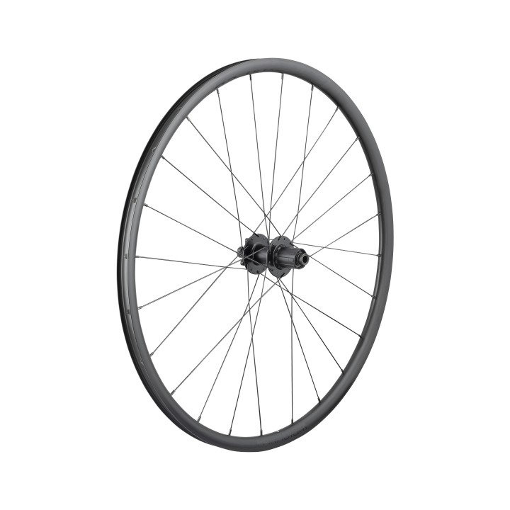 Ruota da strada Bontrager Paradigm SL 6-Bolt Disc 24H 700c Bontrager