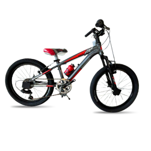 Bicicletta Casadei Kuster 20" CASADEI