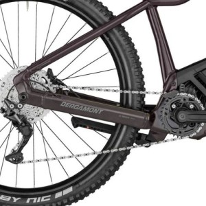 E-Bike MTB Bergamont E-Rever Sport FMN Bergamont