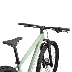 Specialized Rockhopper Comp 29 Hardtail MTB - Gloss Pistachio