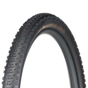 Copertone MTB Bontrager Sainte-Anne RSL XR TLR