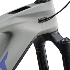 E-Mountain Bike Giant Reign Advanced E+ 2 25 km/h Giant