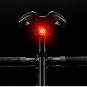 Luce Posteriore Giant Recon TL 100 Giant