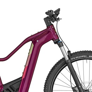 Bergamont E-Revox Pro FMN eMTB