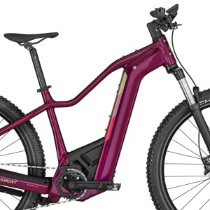 Bergamont E-Revox Pro FMN eMTB