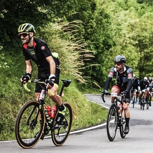 Diversi brand bici e geometrie